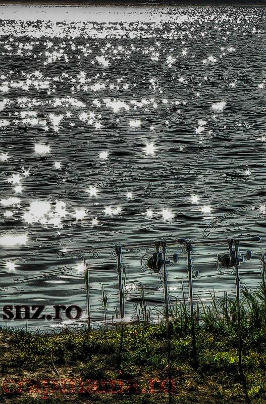 Trofeul Tancabesti (3) - 2013 - 1012324hdrmode2.jpg